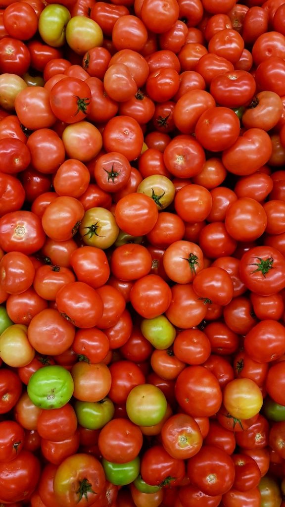 tomates du Vésuve